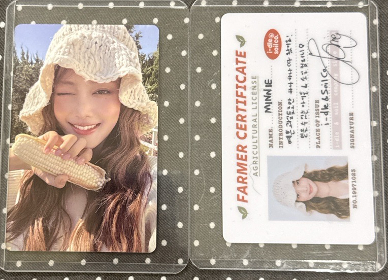 minnie年曆小卡