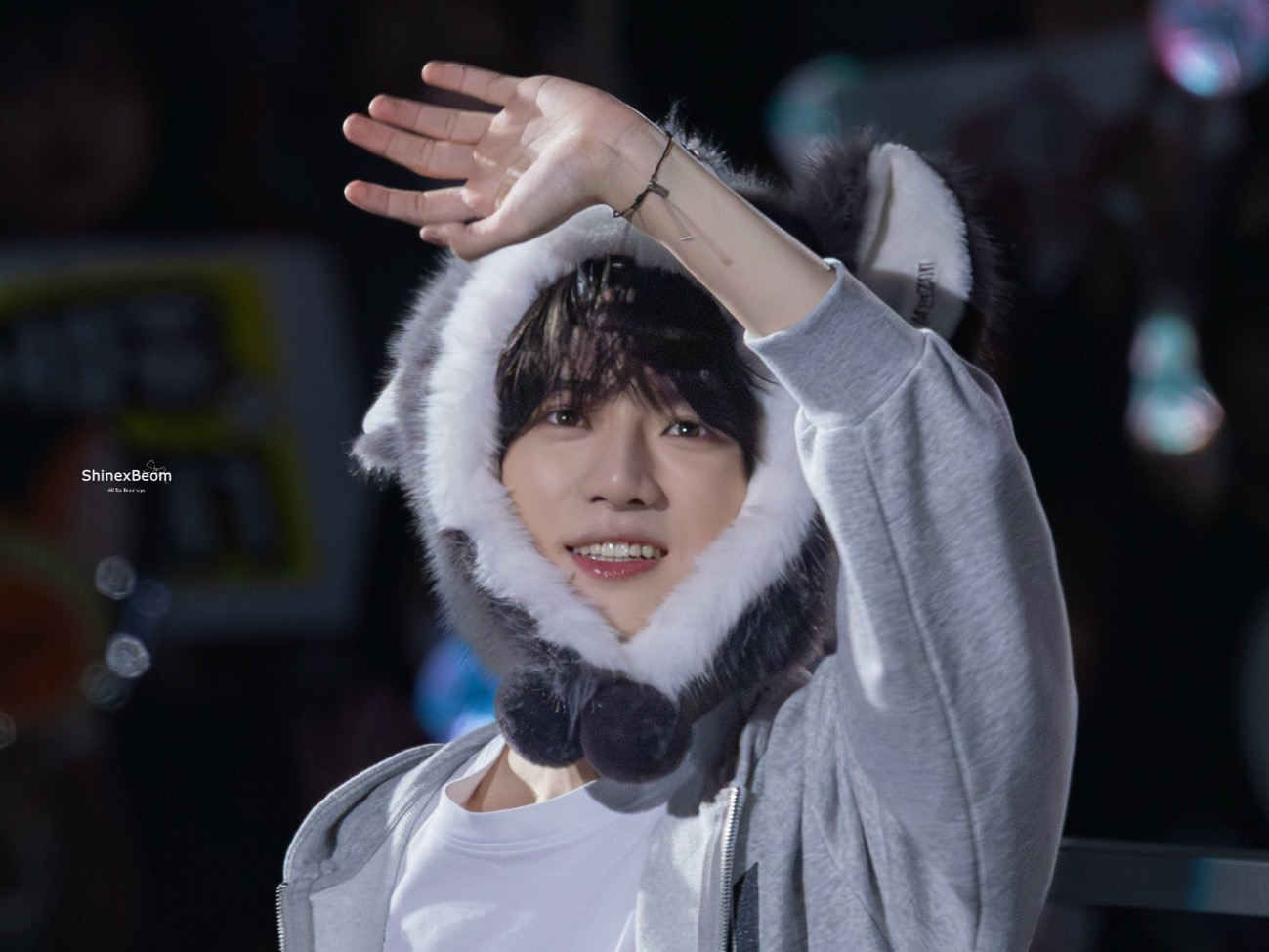 lumi