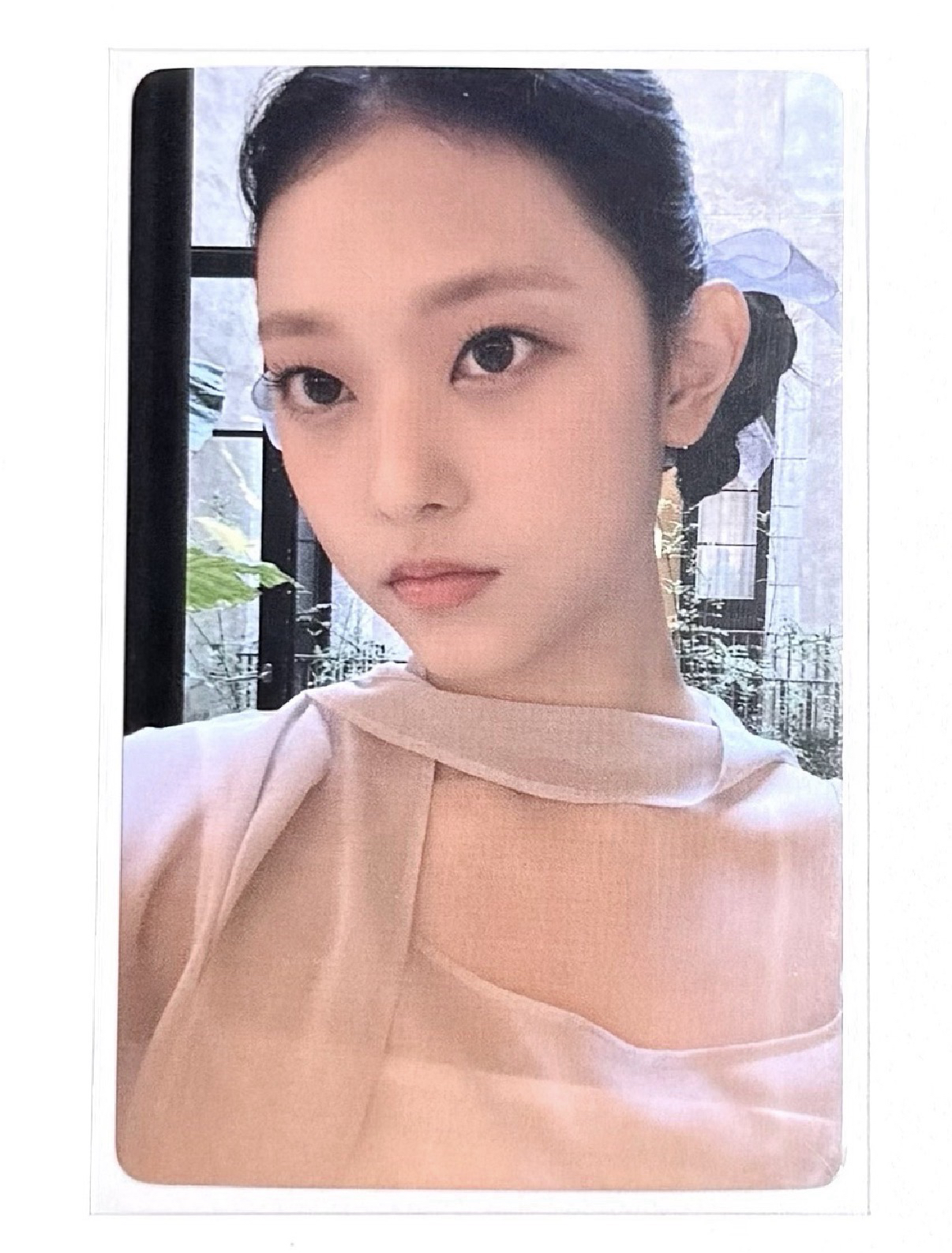 芭蕾貓