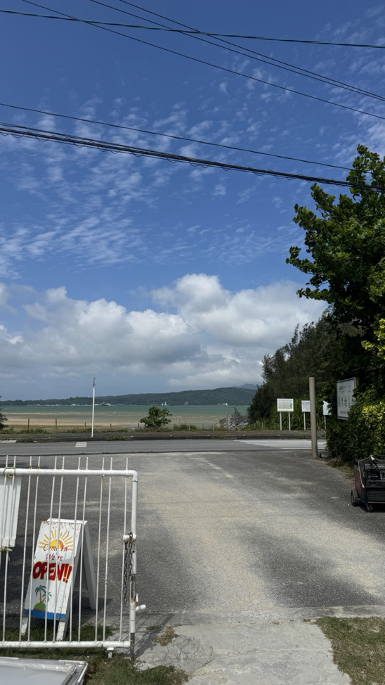碳酸氫鈉