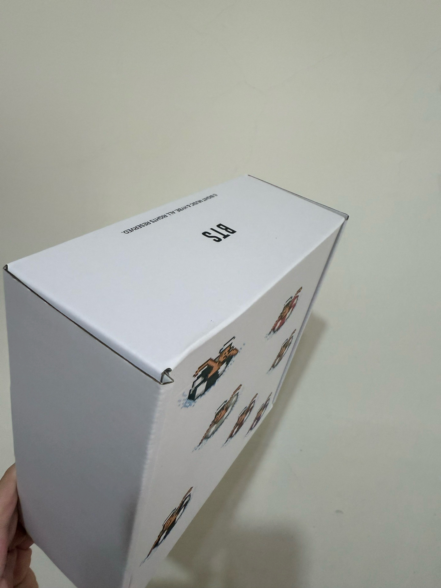 BTS 防彈少年團 釜山入場禮毛巾