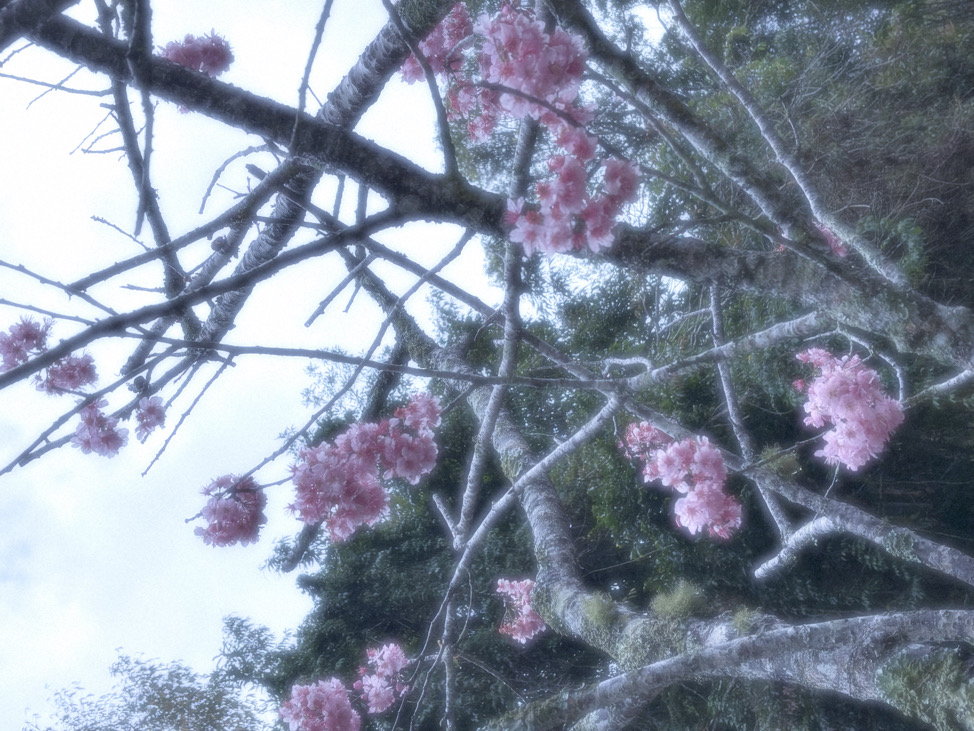 み