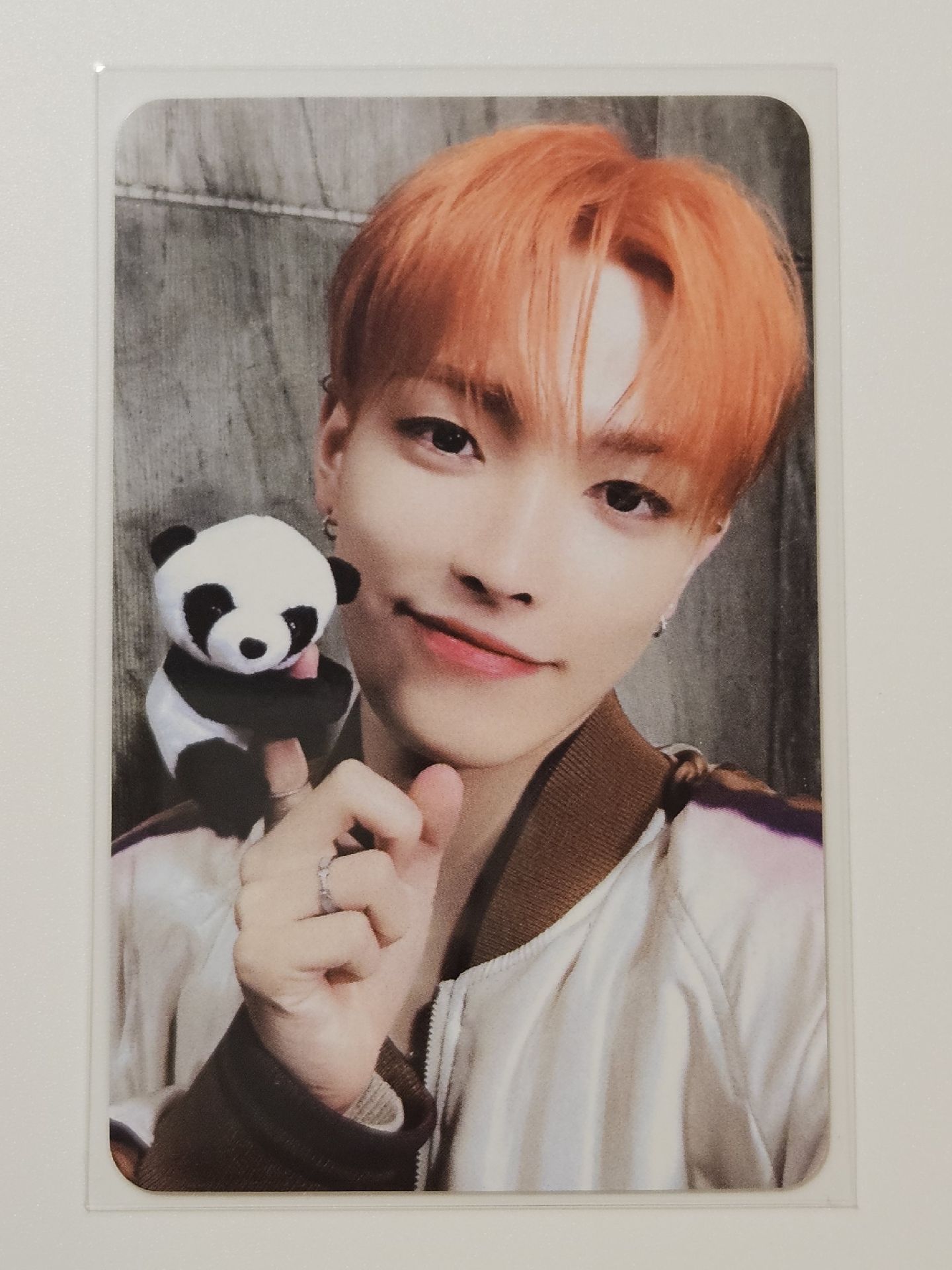 🐼