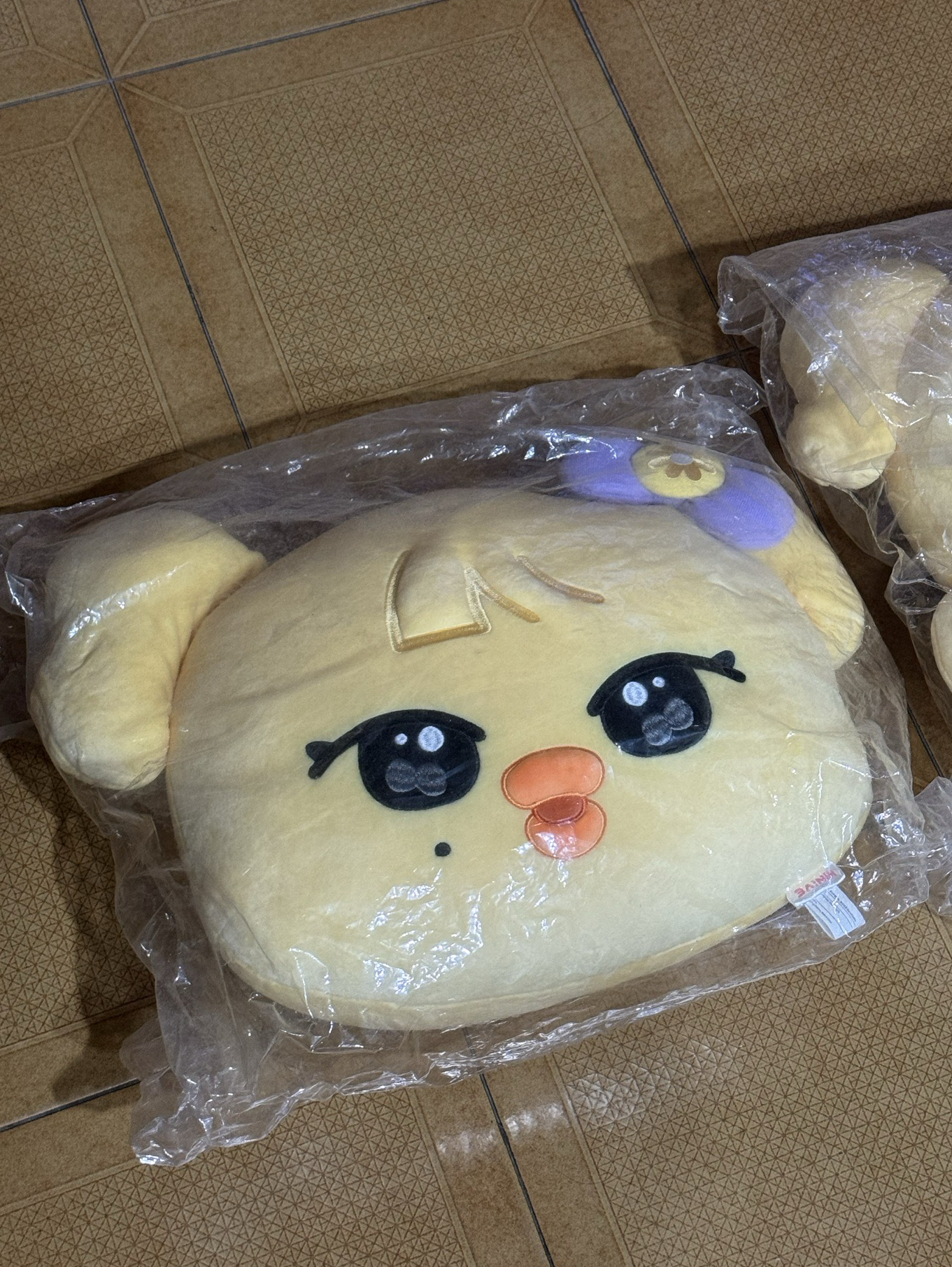 IVE 絕版稀有一代minive naori大抱枕