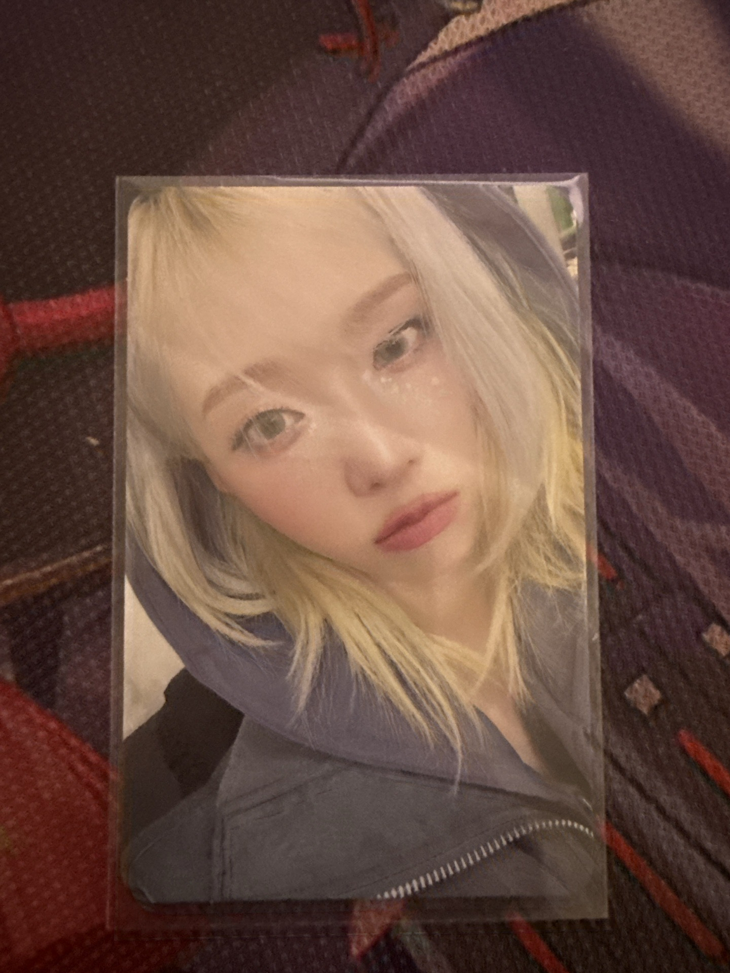 冬卡