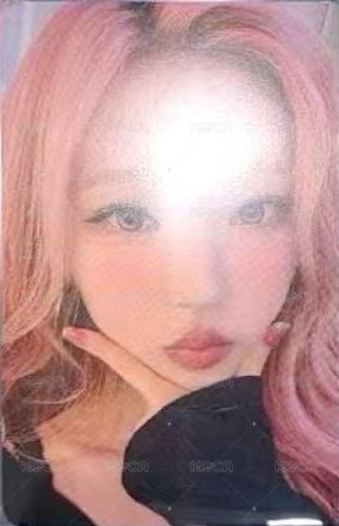 el stella 非現