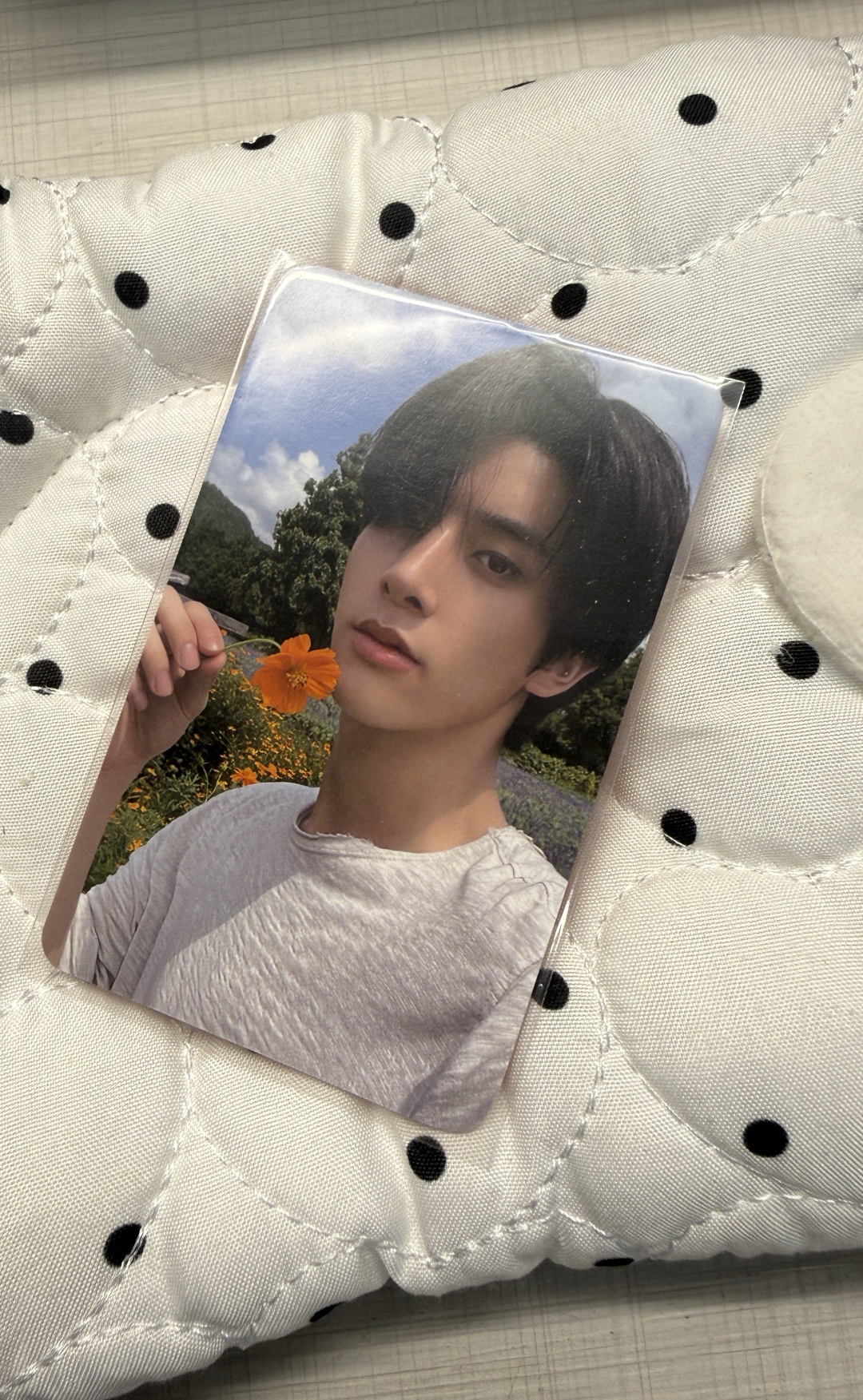 美男拿花