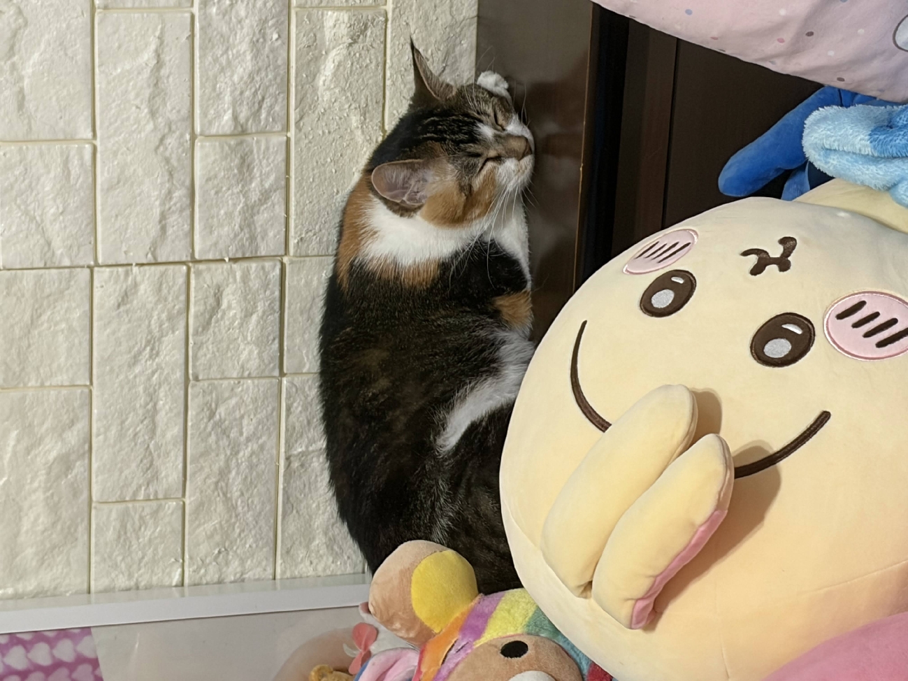 波蜜