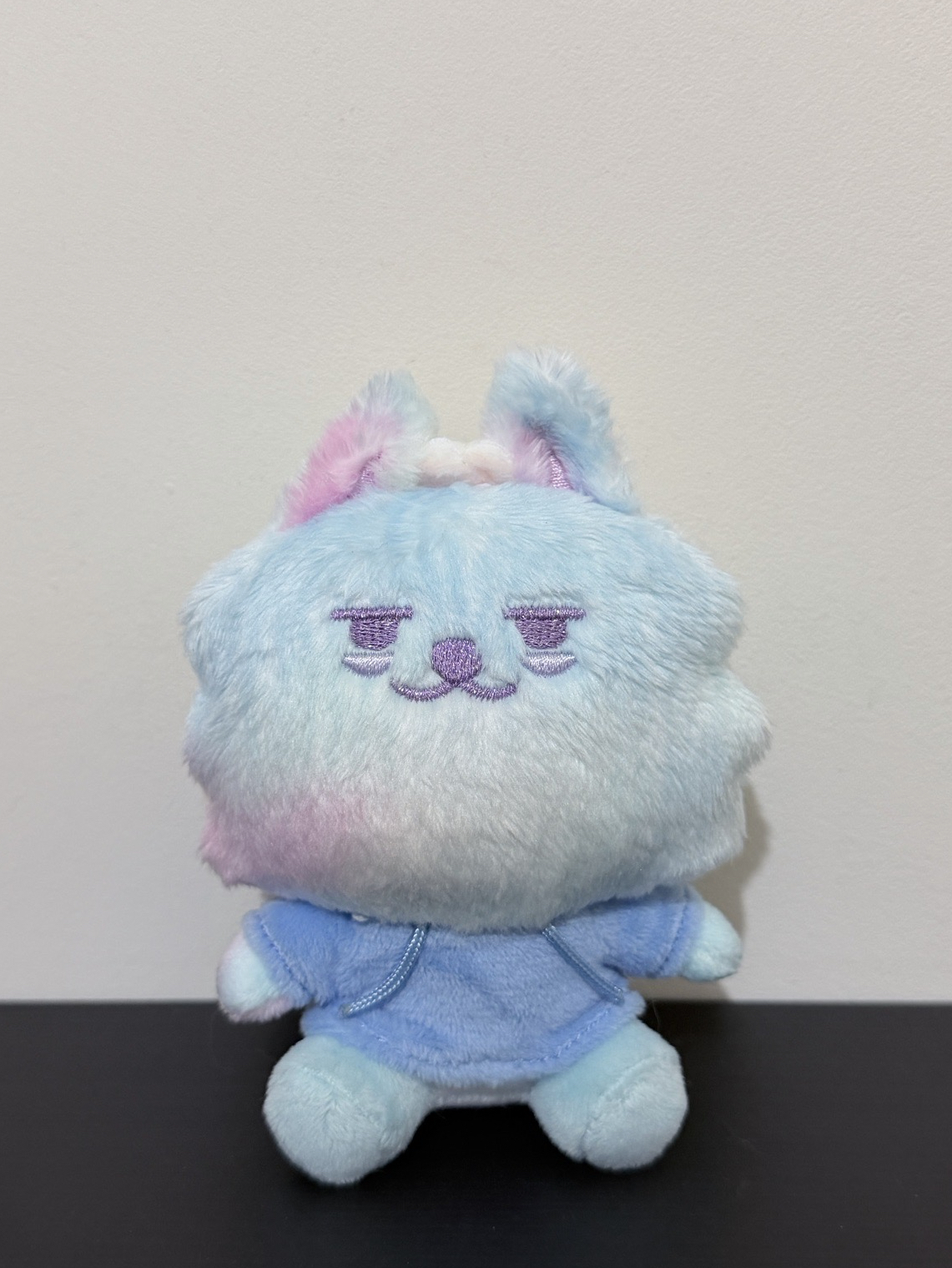 淡藍彩猛🐰🩵