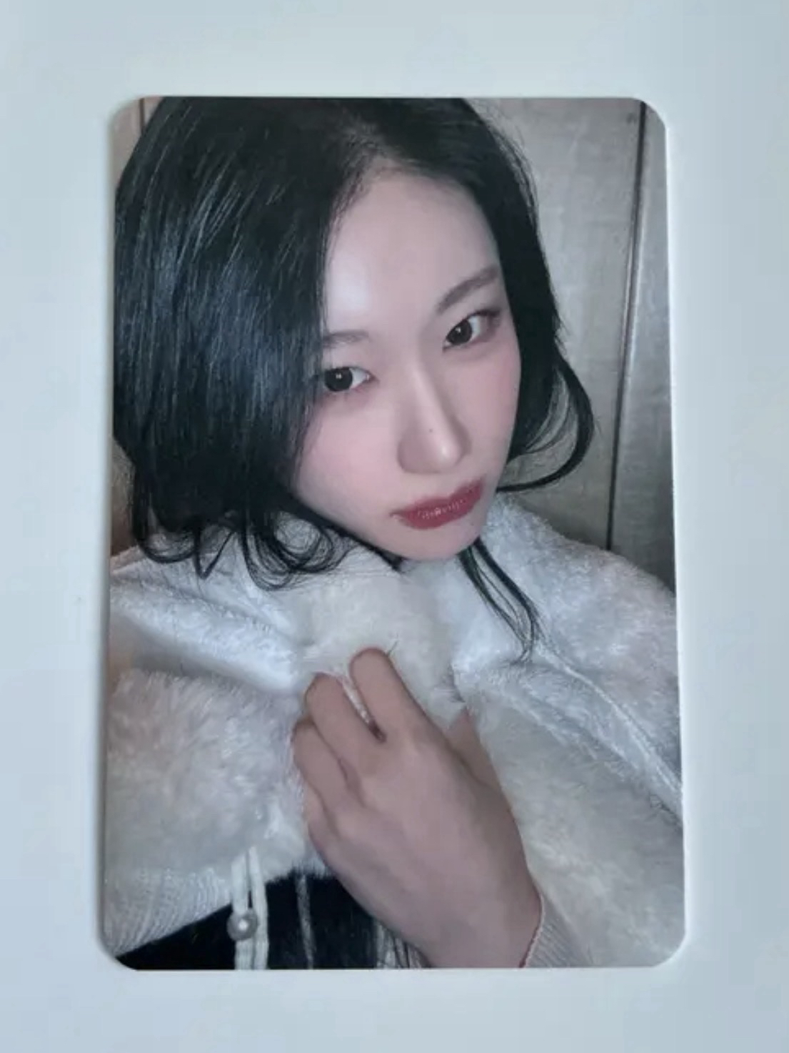 彩領 ms上海小公主領 限量中簽卡