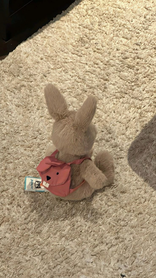 🐰