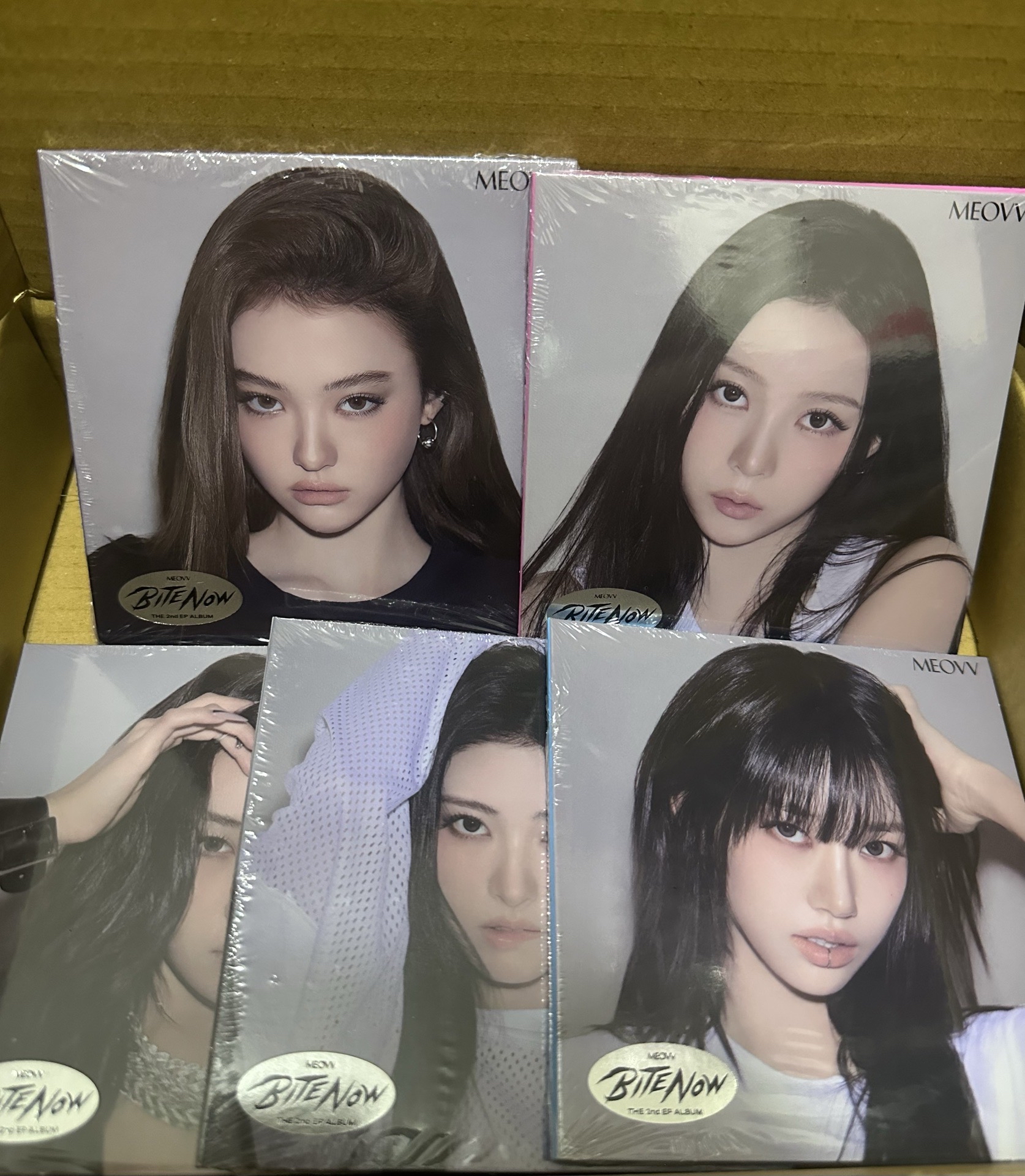 🌟現貨🌟 MEOVV BITE NOW 全新未拆單封一套