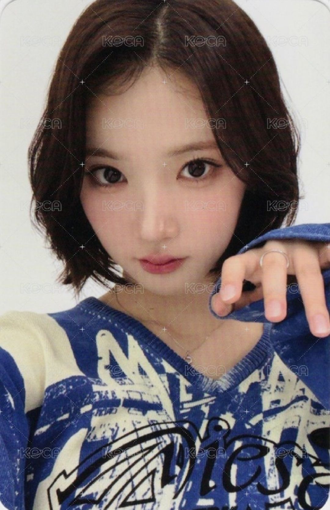 dingo jiwoo 非現