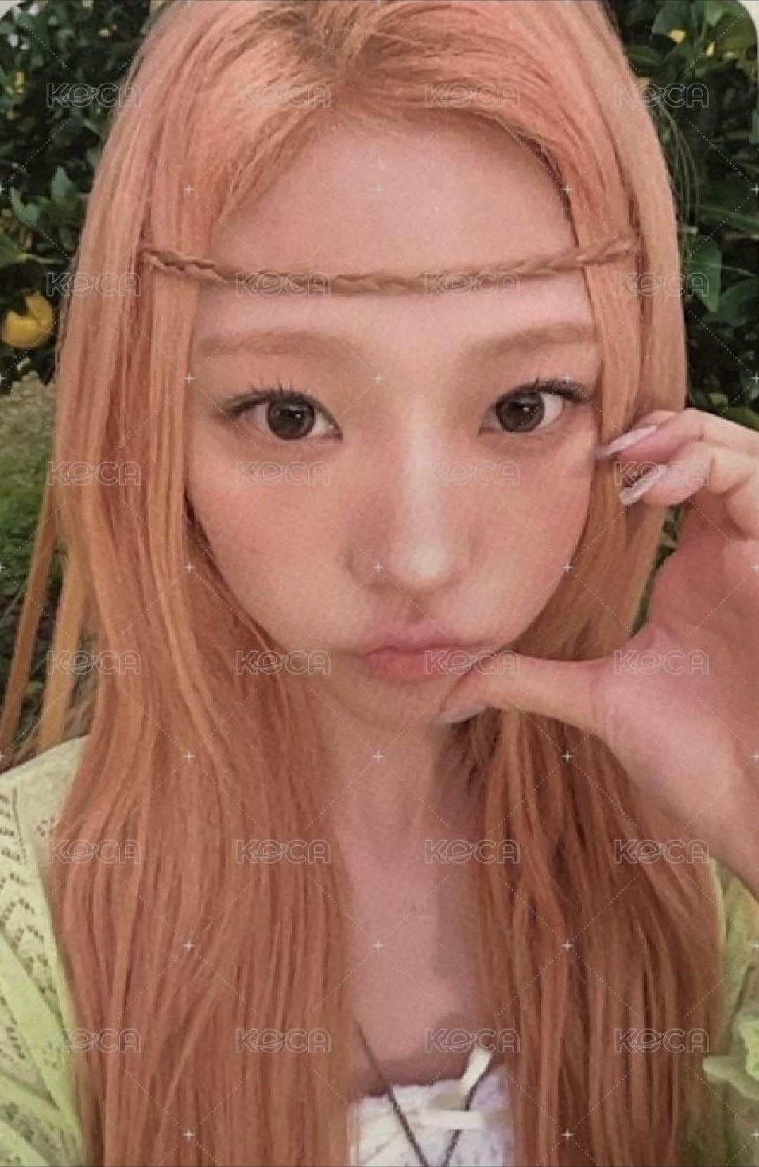 專卡stella 非現