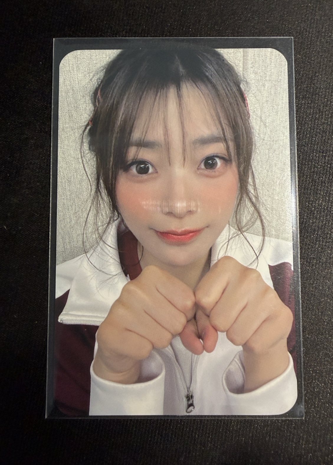 貓拳燕👊