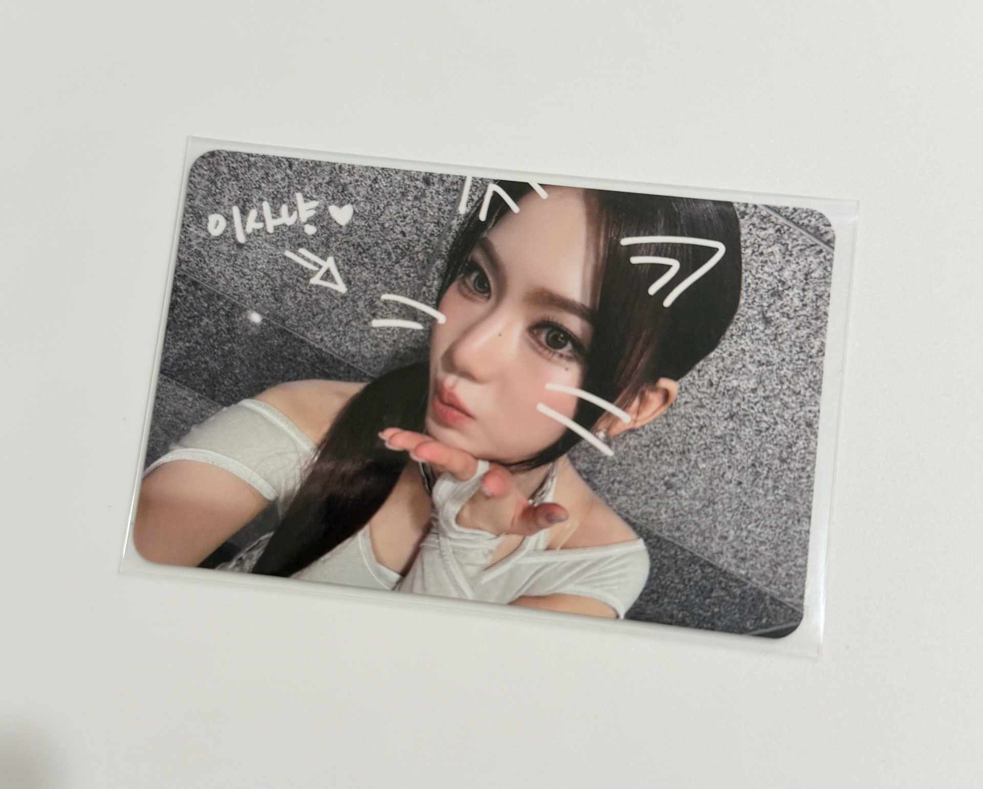 Isa 寵物鏡頭