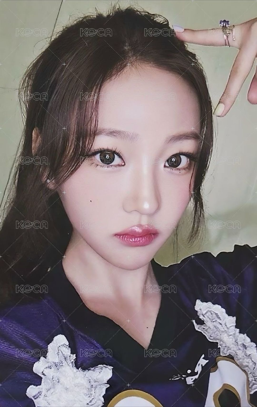 el stella 非現