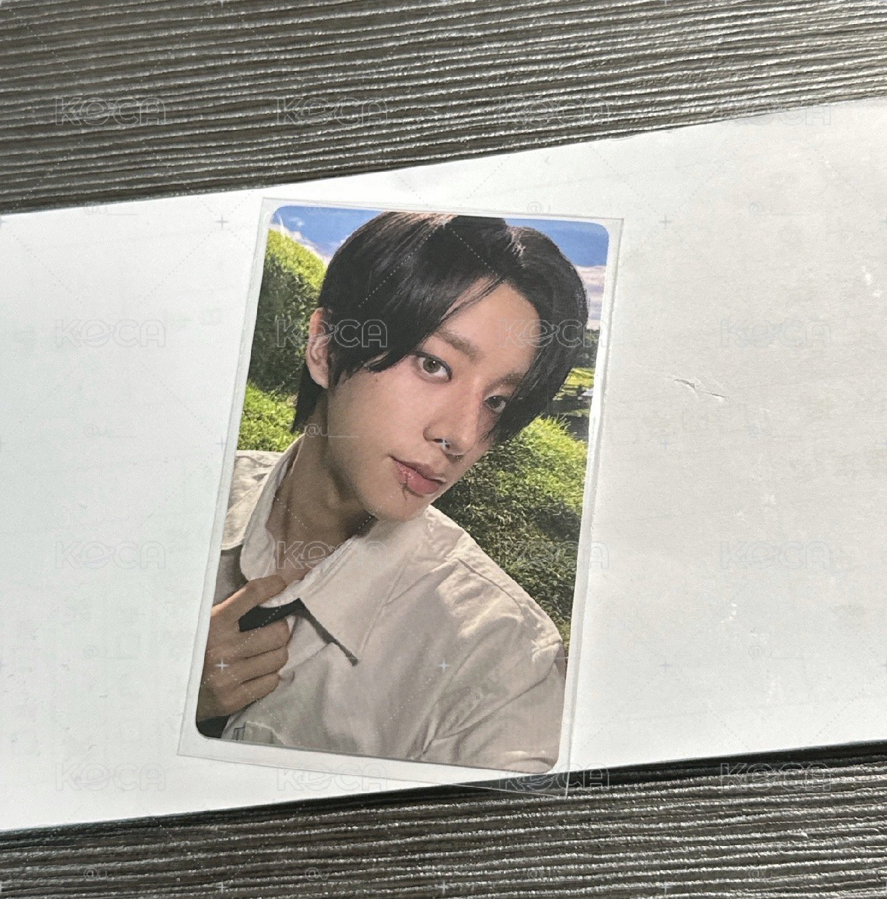 中背 快樂小狗卡
