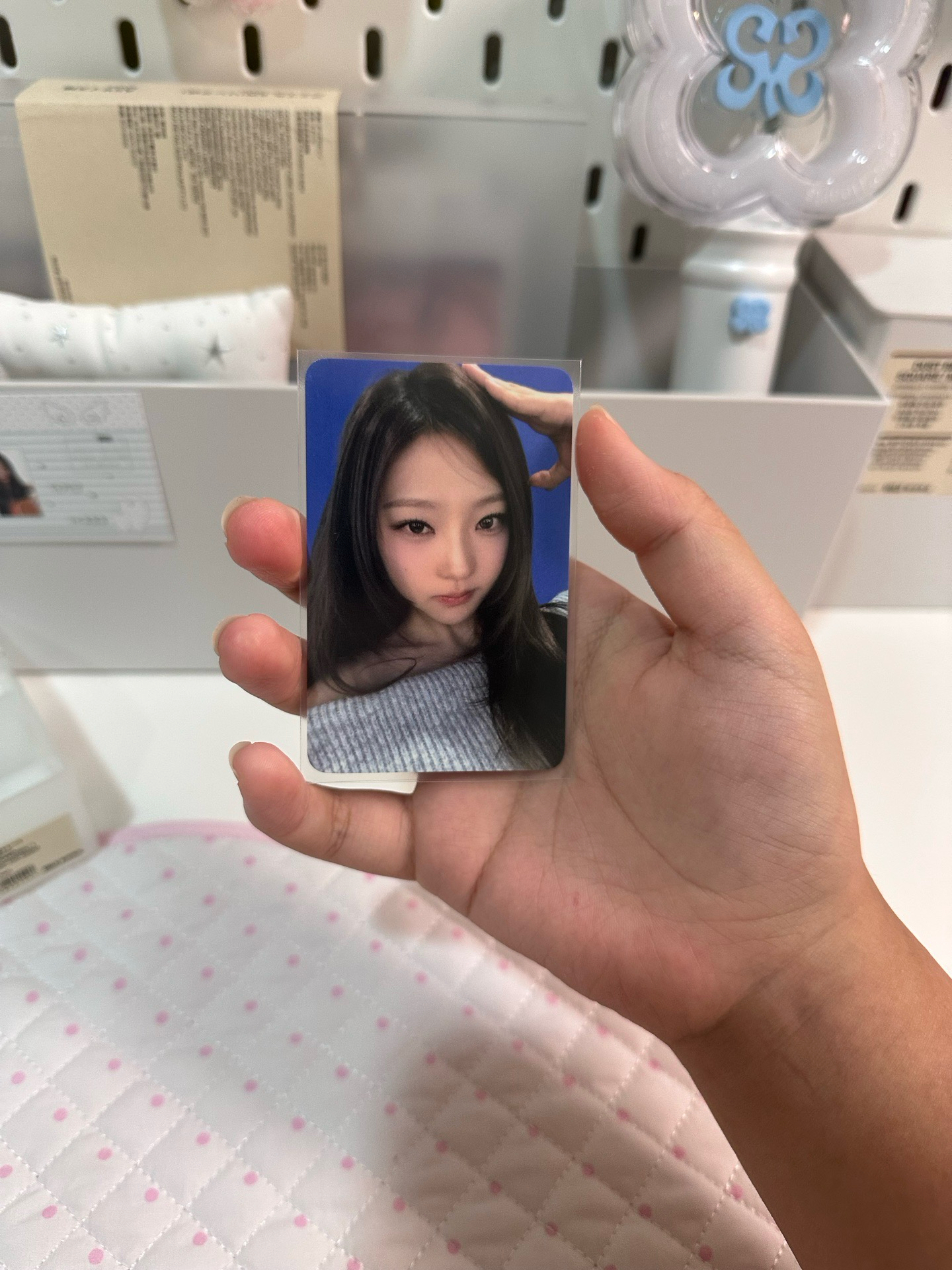 狗耳絢