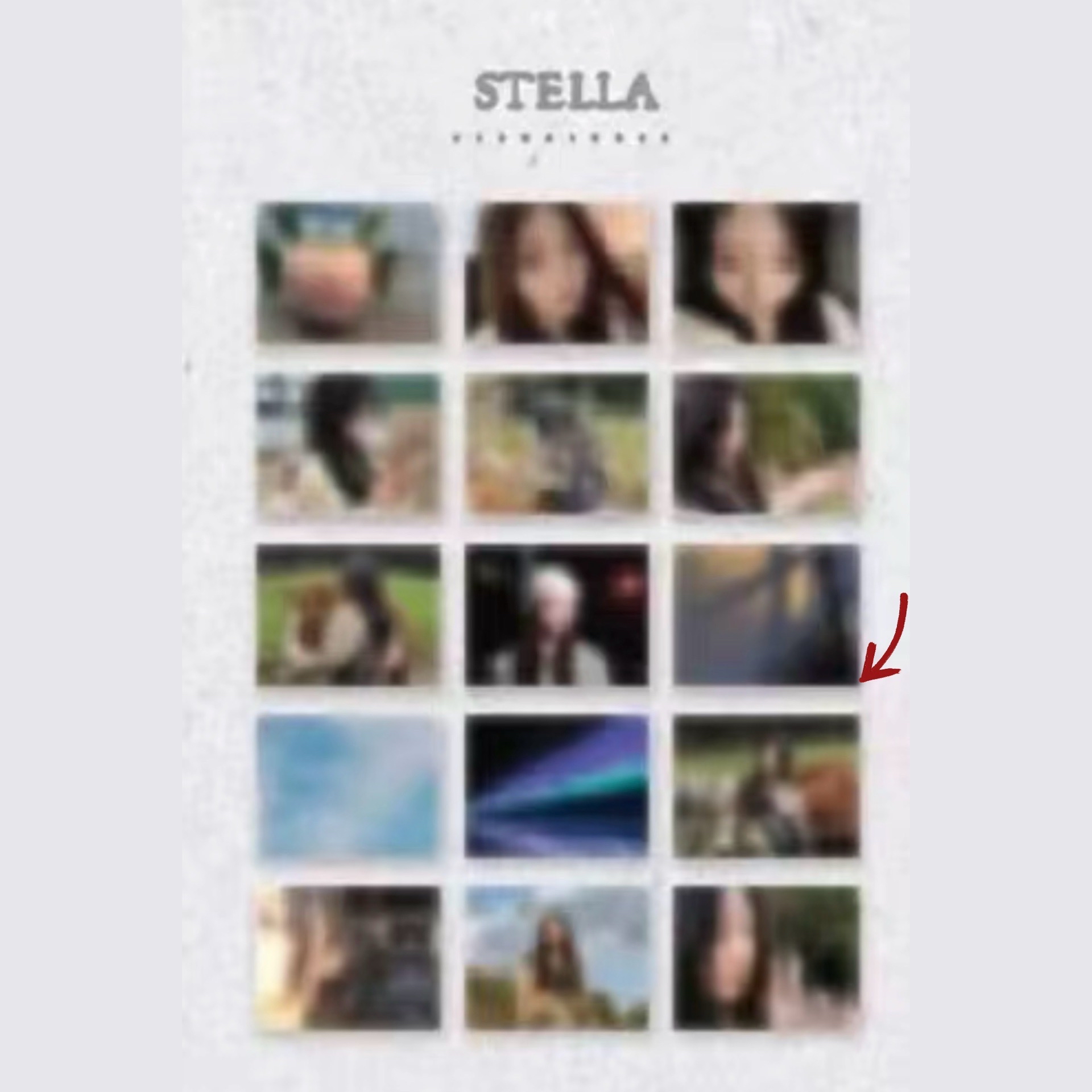 全球僅二 Stella 白情抽選