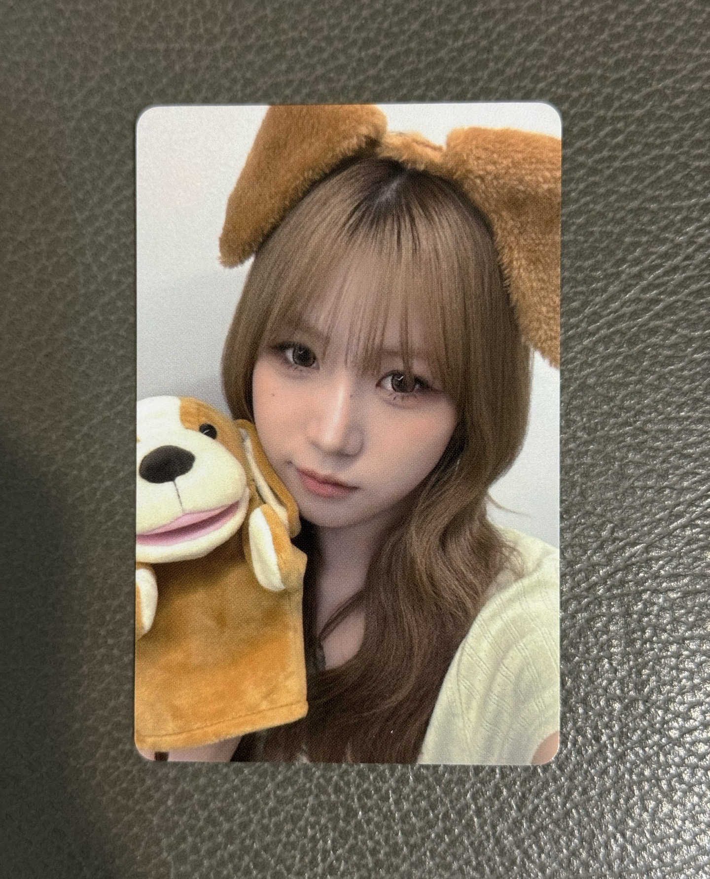 Taerin 狗狗🐶