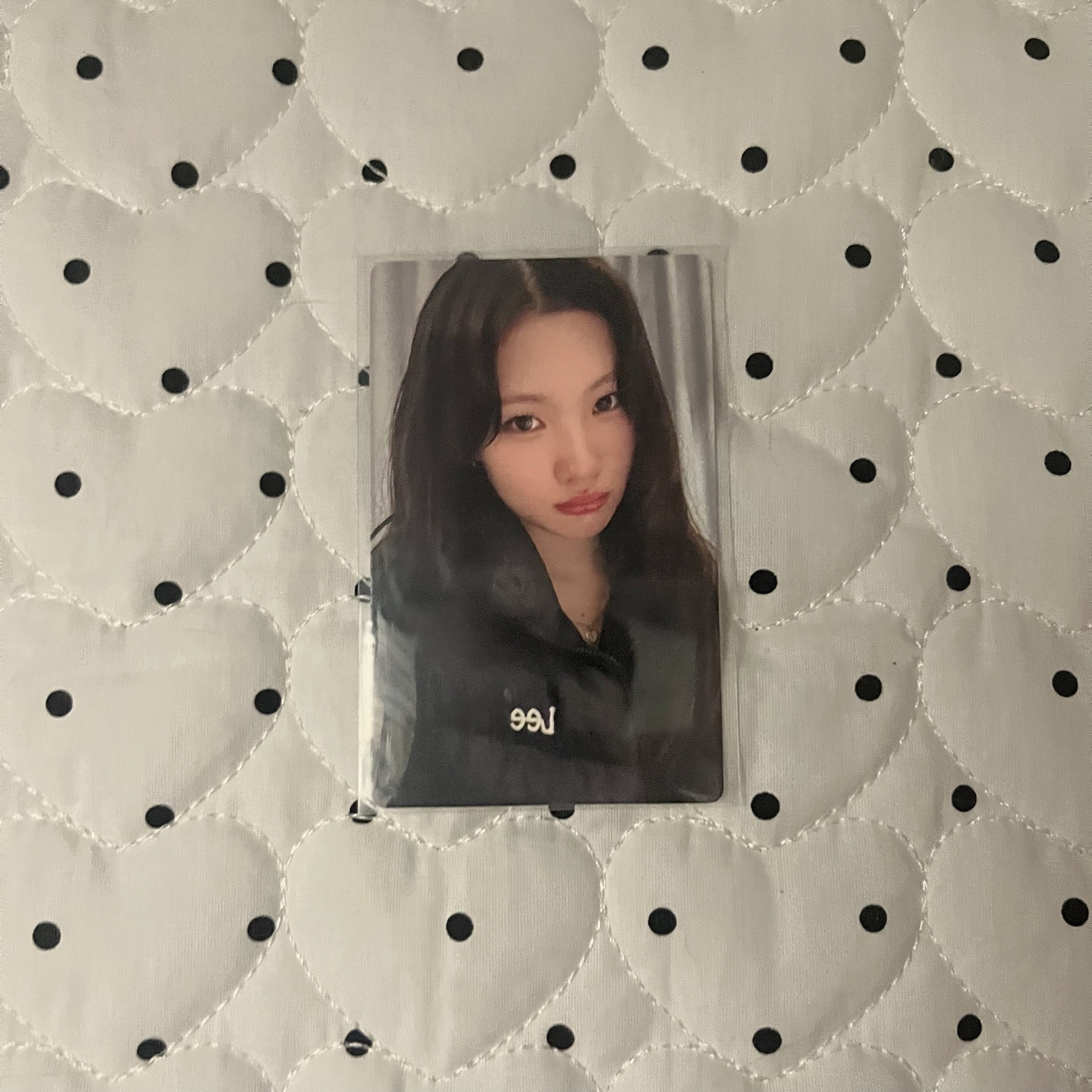 Focus ju 簽售卡