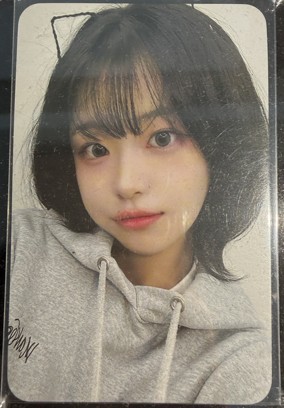 貓耳丹🐱