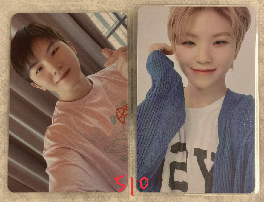SVT 勳小卡