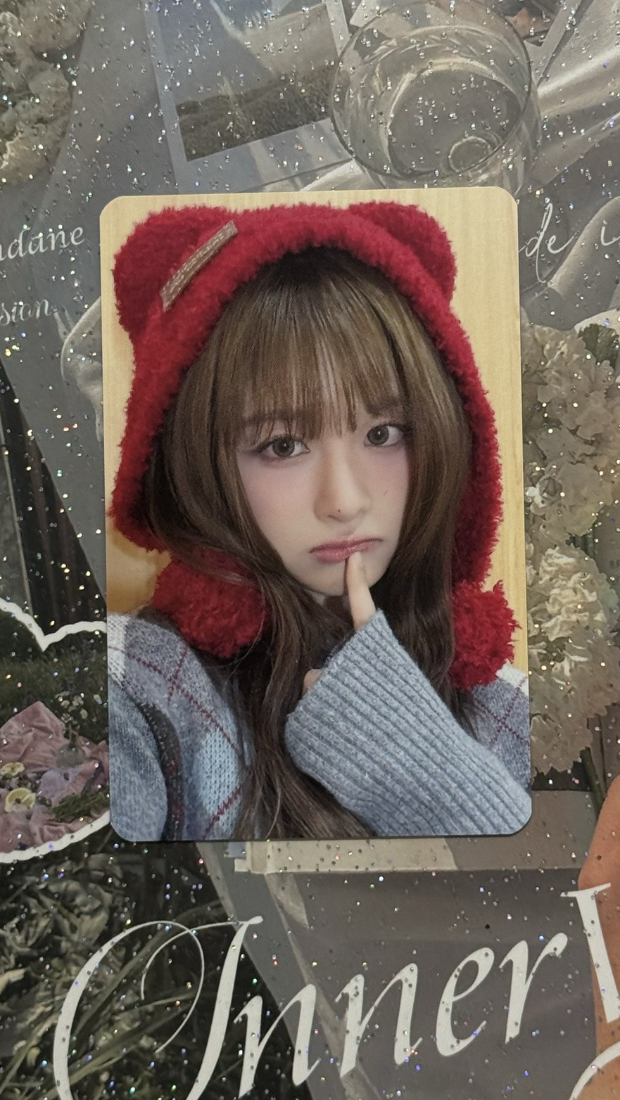 小熊薛