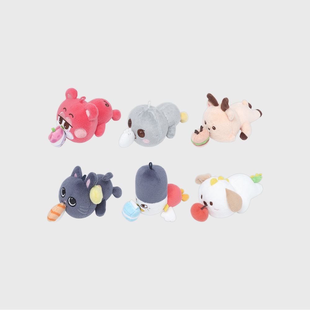 RIIZE ARCHIIVE2 POP-UP Brrrr娃