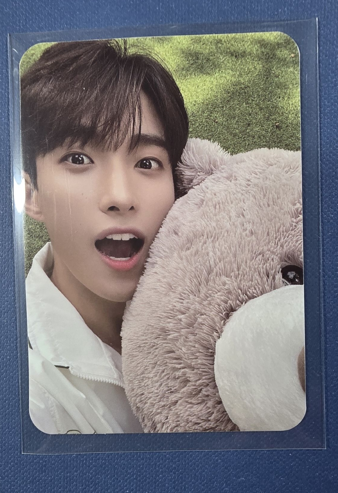 21’DICON 雜誌卡 