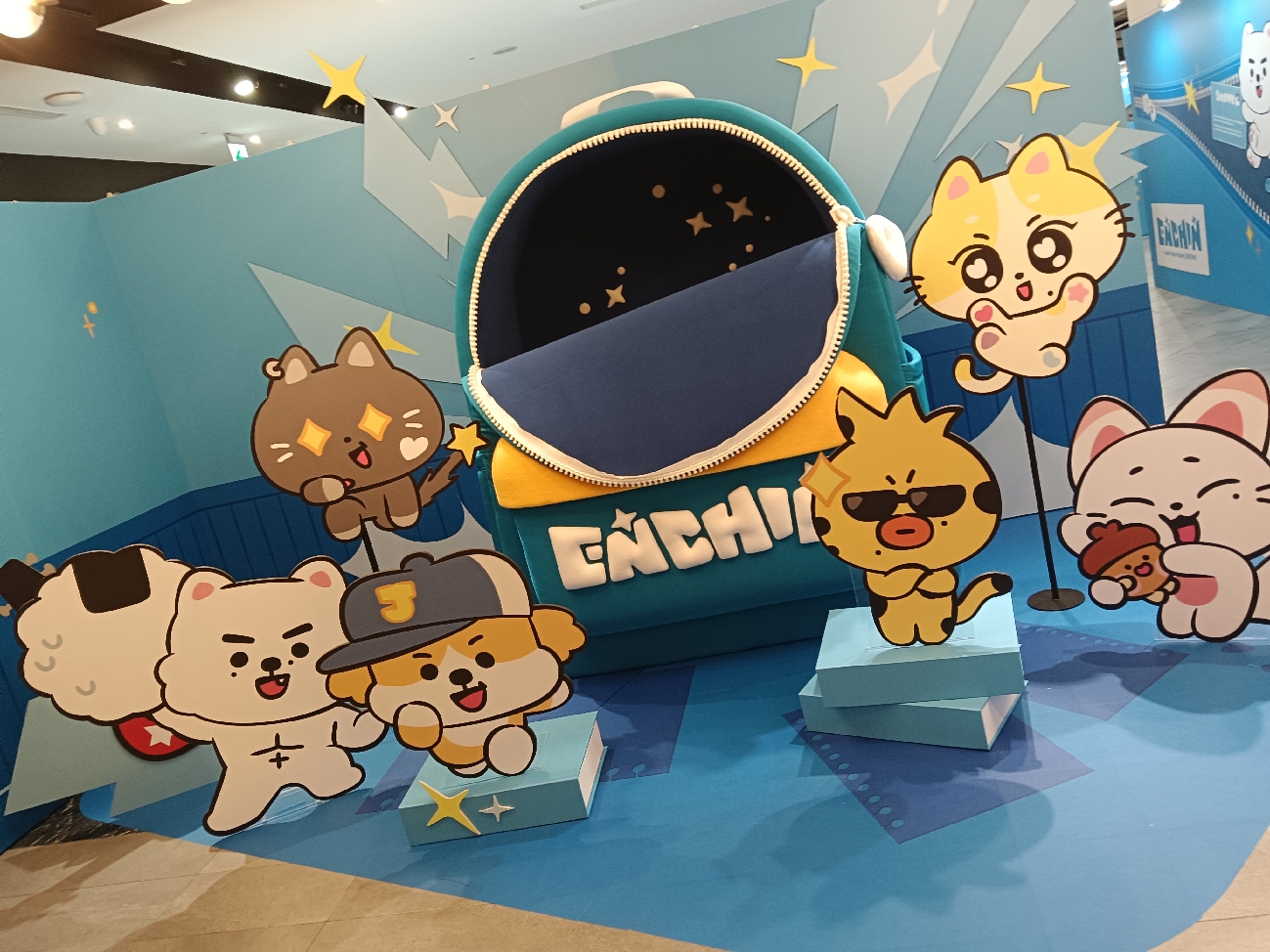 只是一隻喜歡綜星的貓