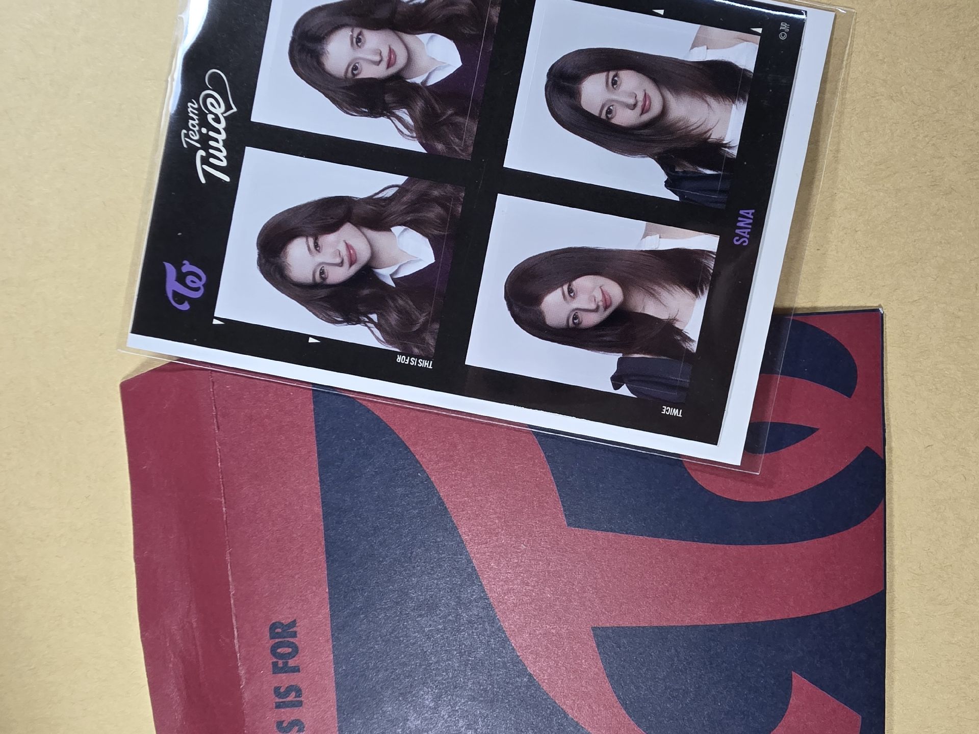六巡 新國立 貼紙 證件照貼紙 💜紗紗 直出/可綁