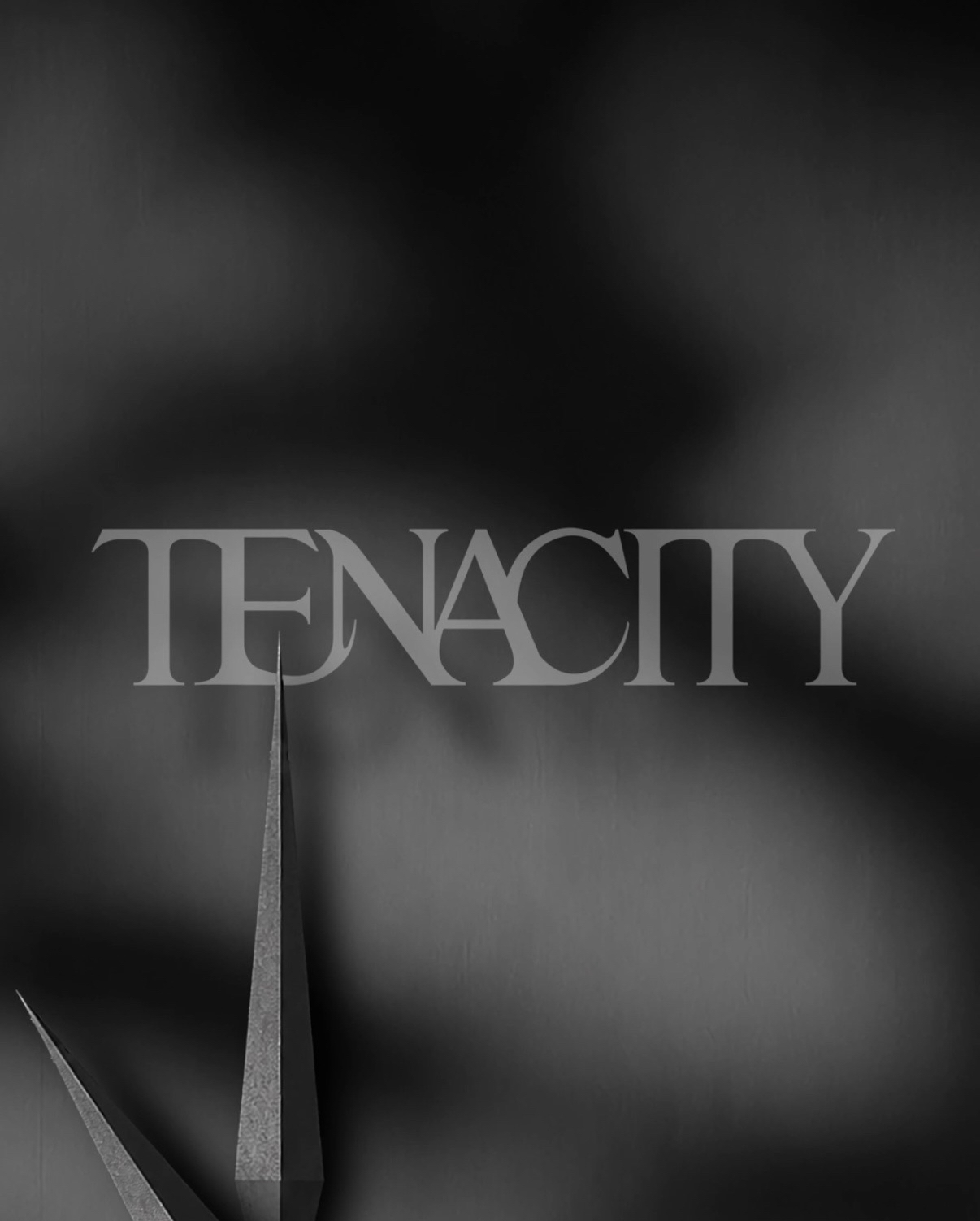 2nd Album【TENACITY】