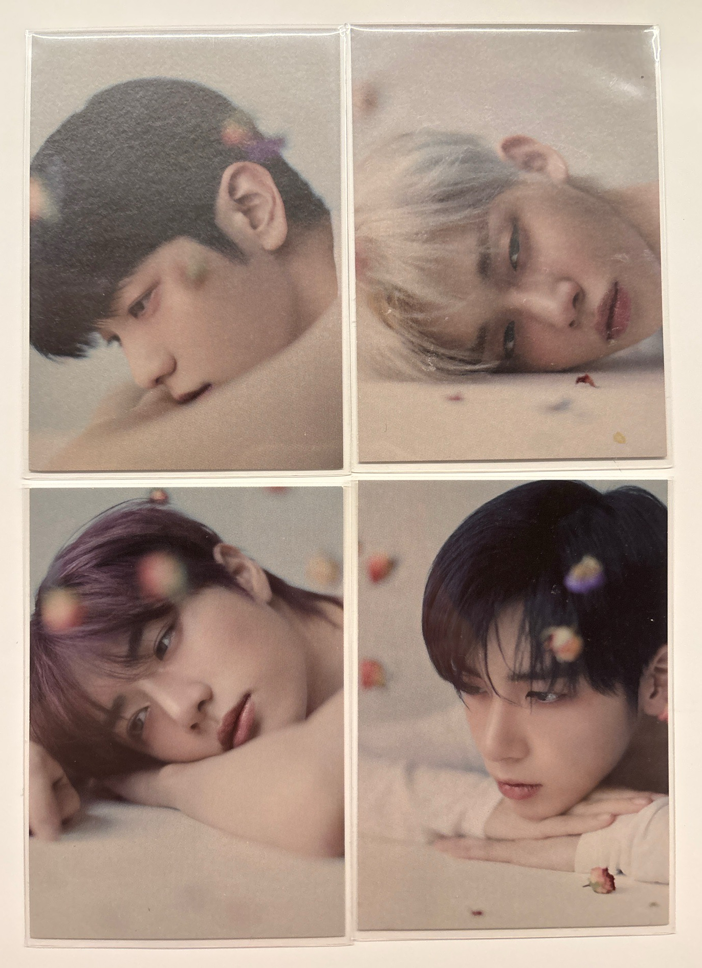 🐰🦊🐻🐱