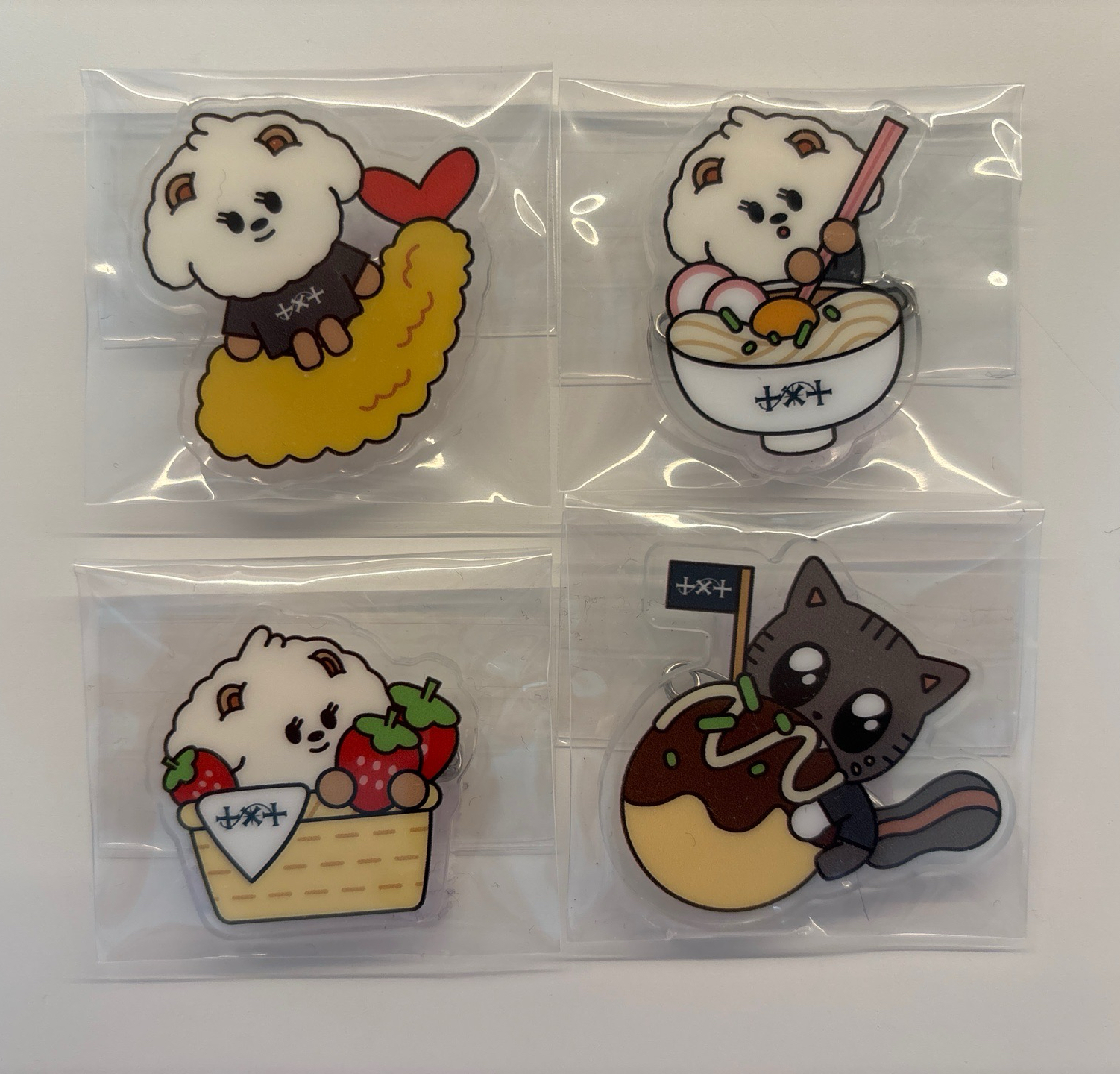 🐻🐱