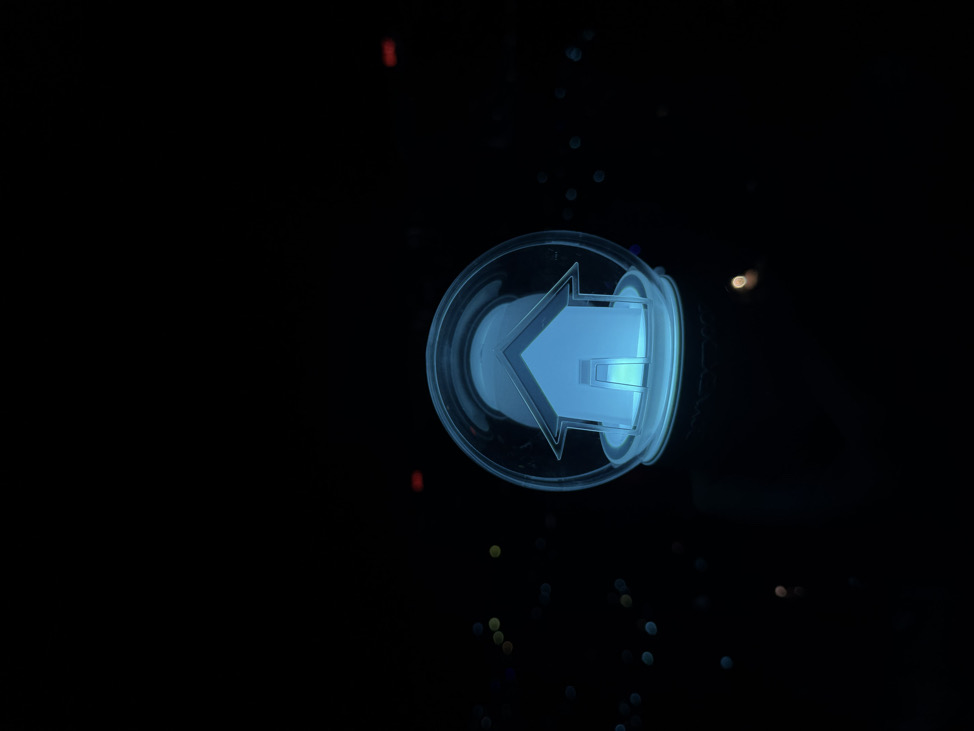 NN
