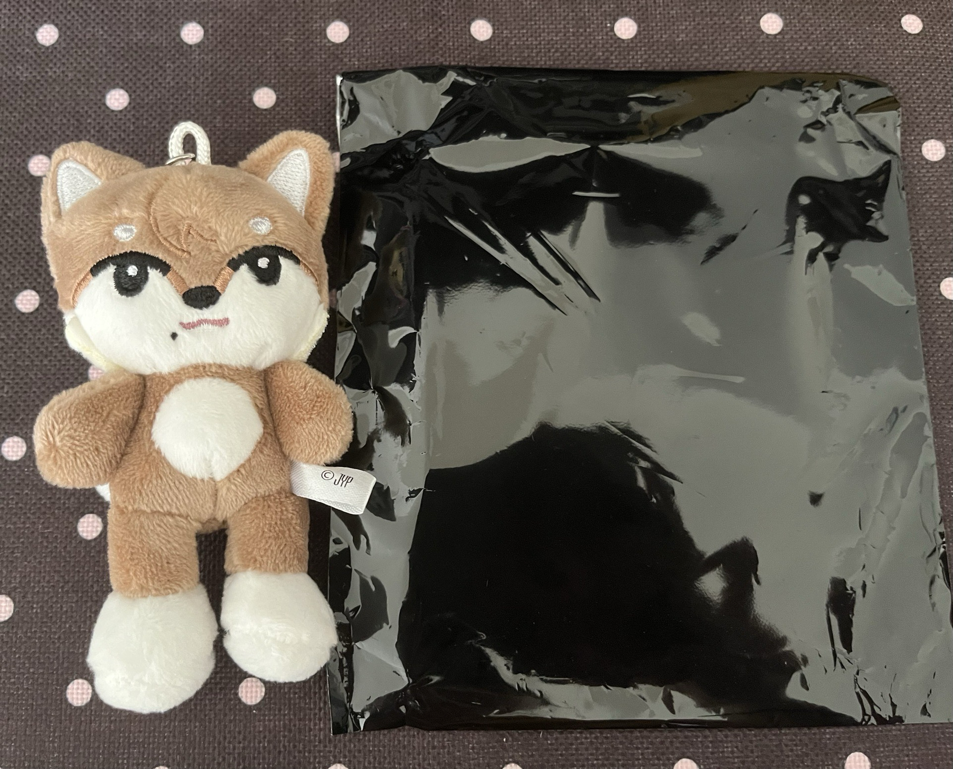 🐾日巡娃+🐾小卡