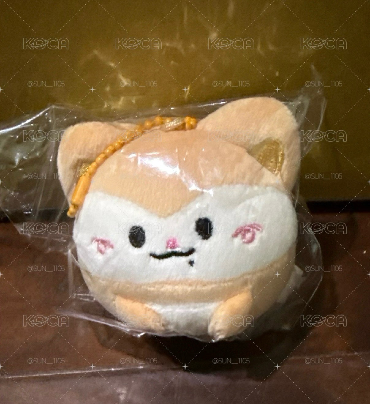 圓滾滾 彩領