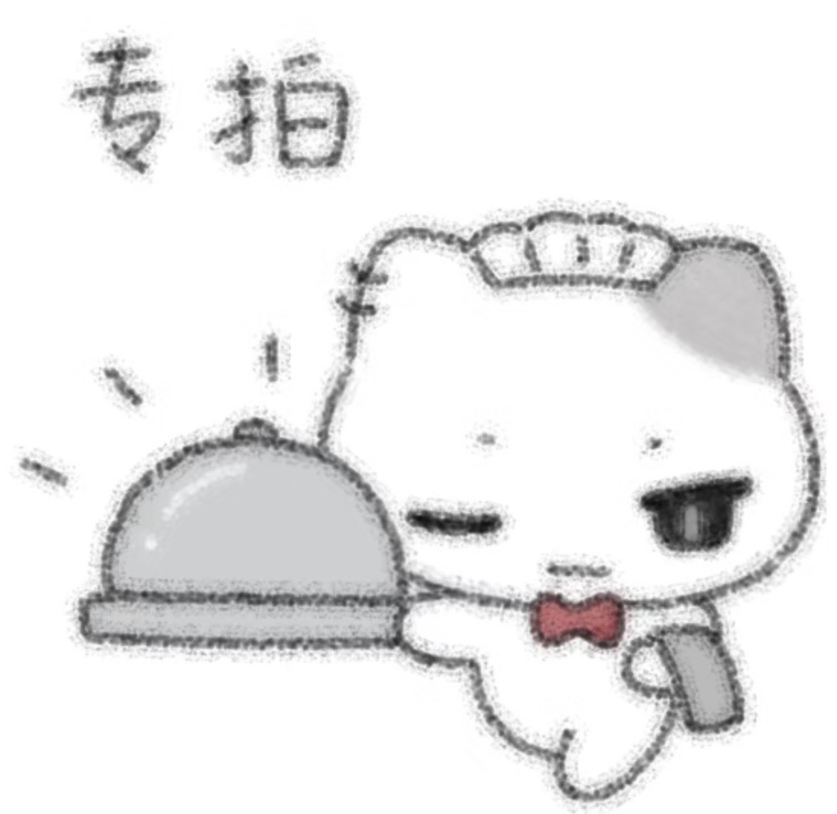 專拍