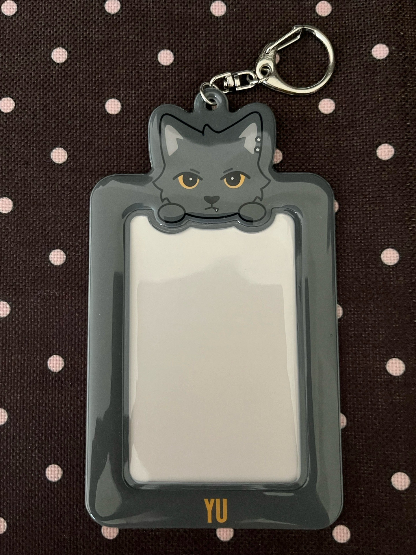 🐈‍⬛日巡卡套