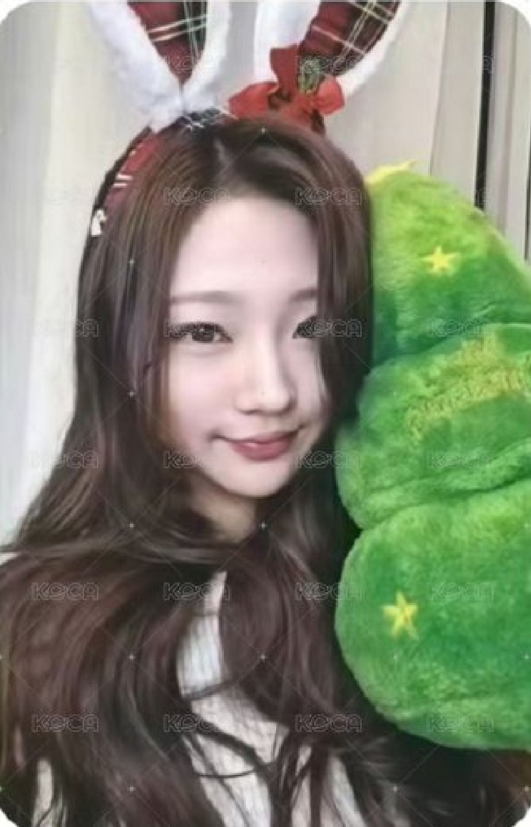 ju stella 非現