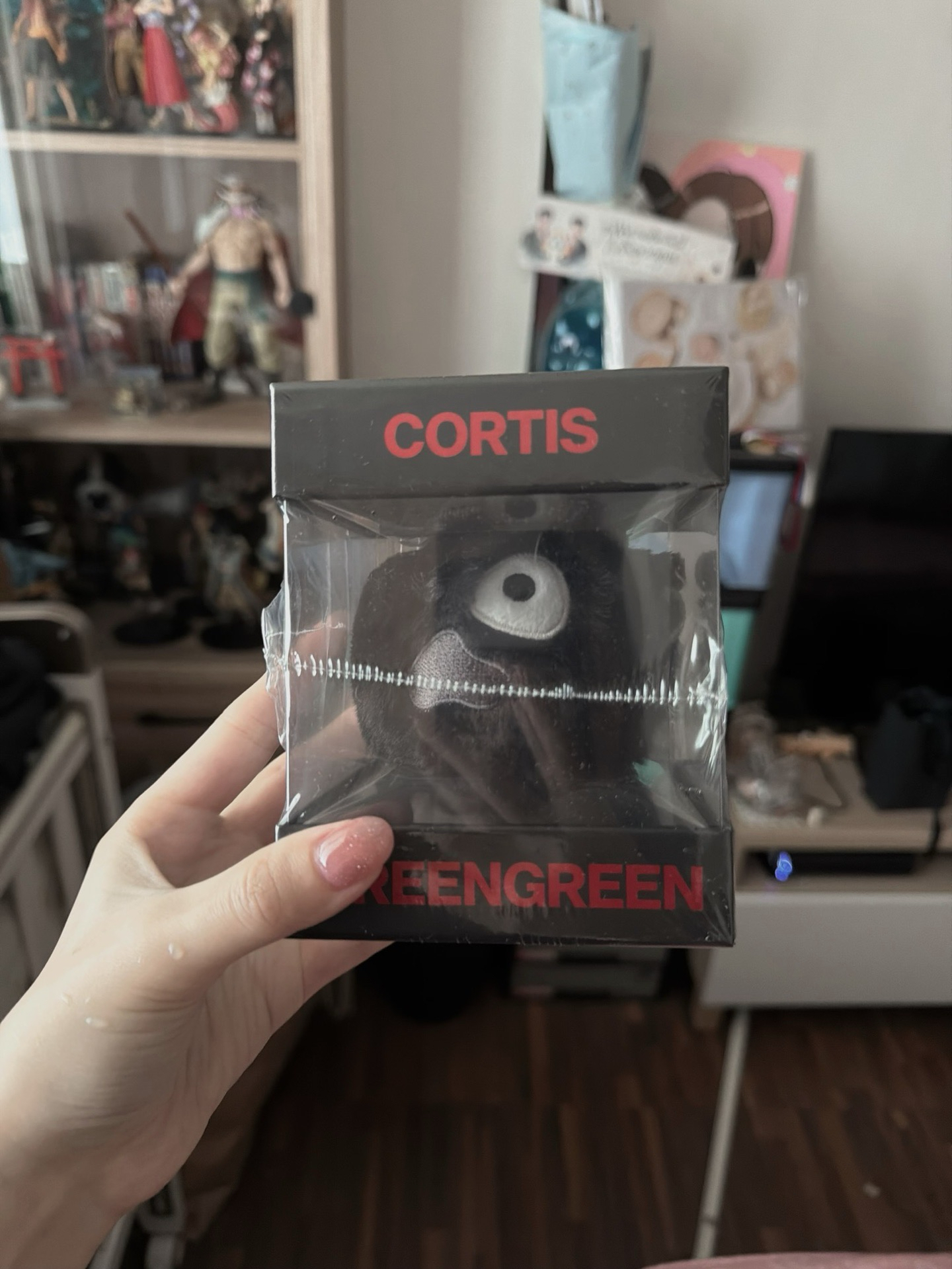 CORTIS 黑色球專