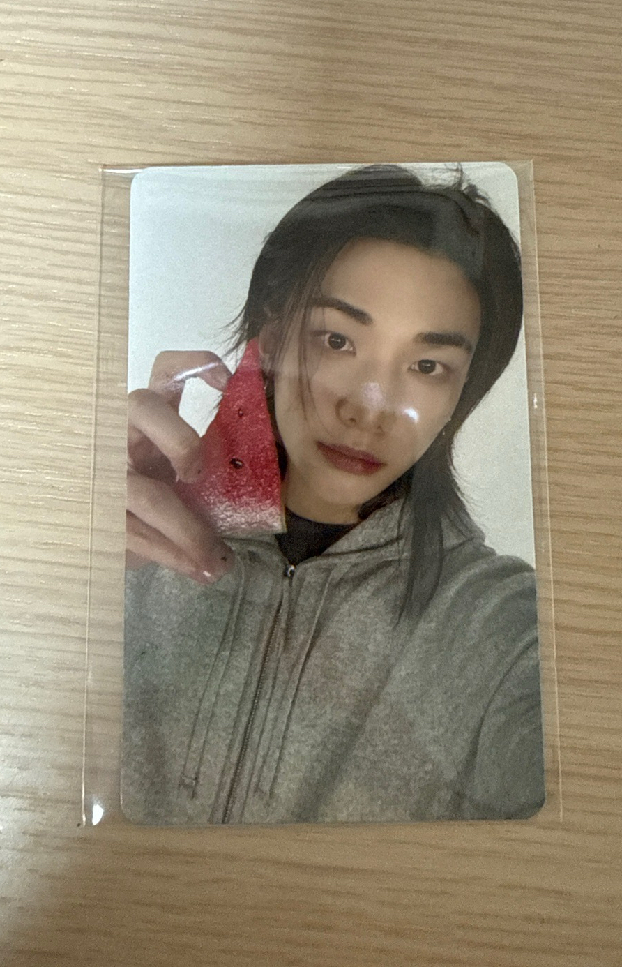 西瓜特典辰