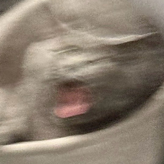 mocchi