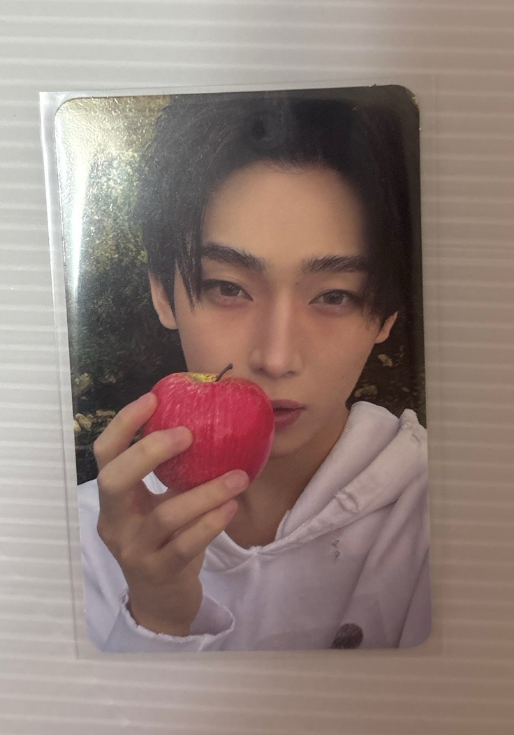 蘋果禹🍎