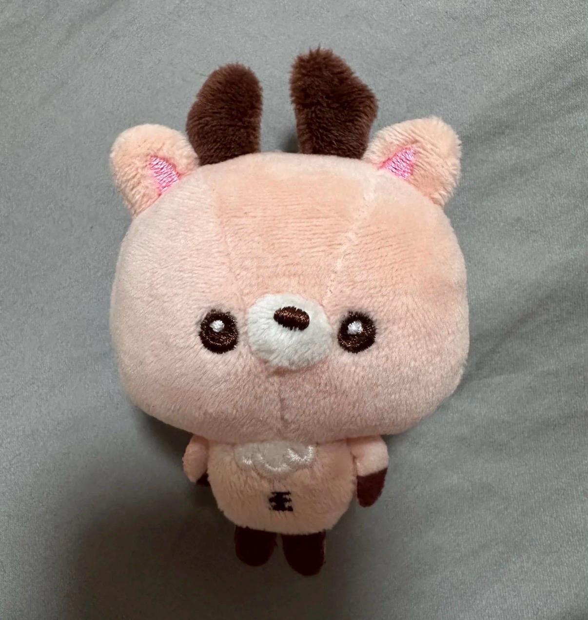 小芒烏拉鹿