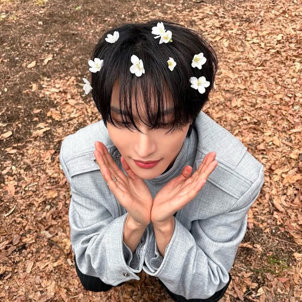 星🌸盛開蝴蝶自來