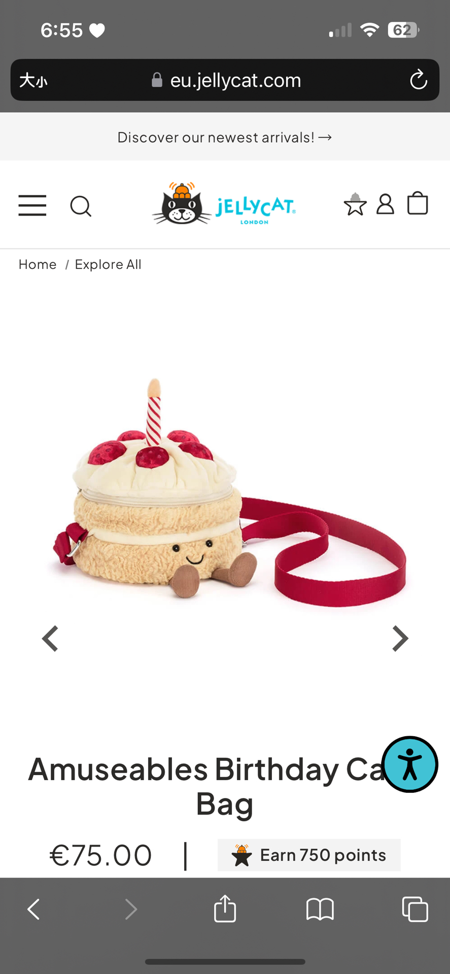 🤍預購 生日蛋糕包包