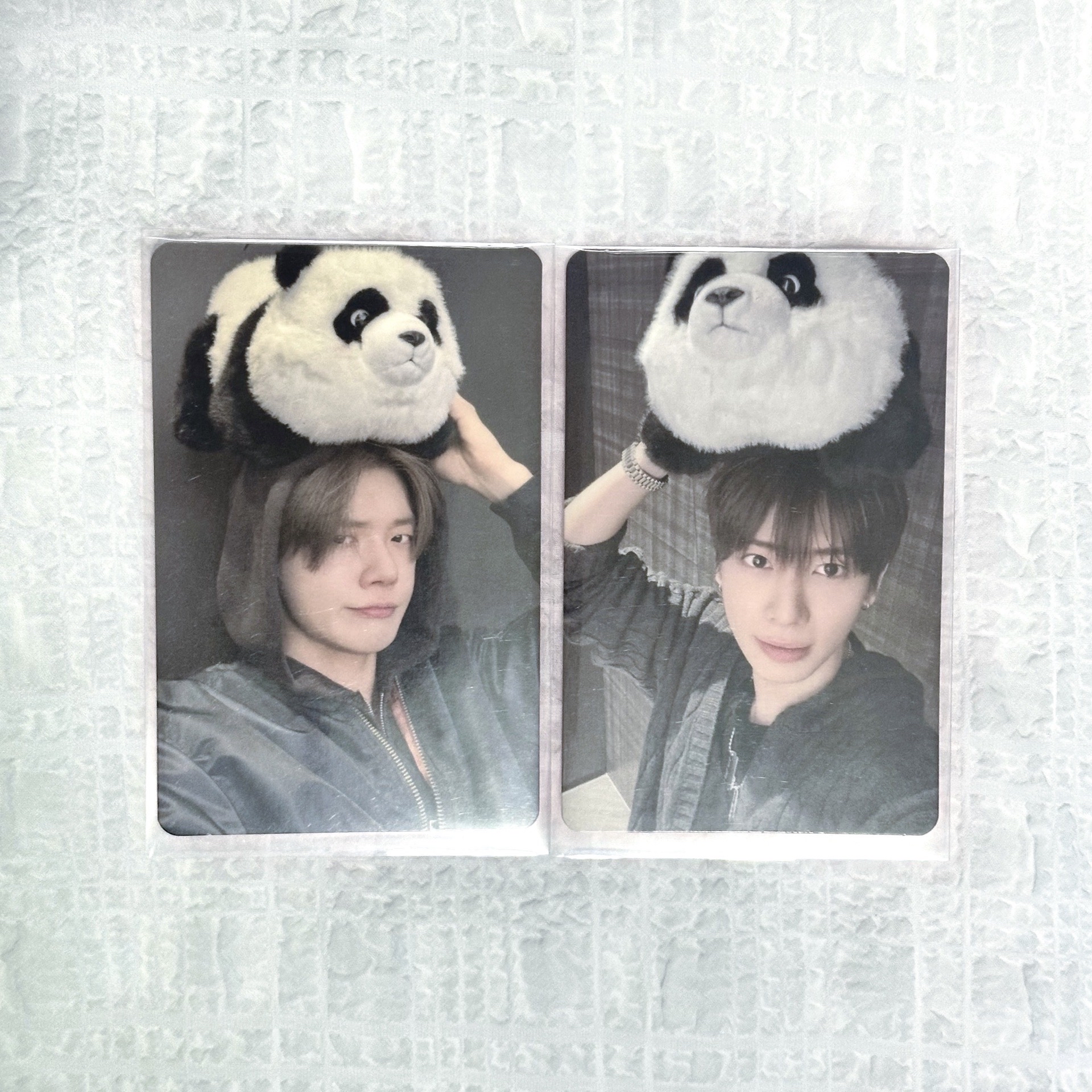 🐼熊貓竣顯